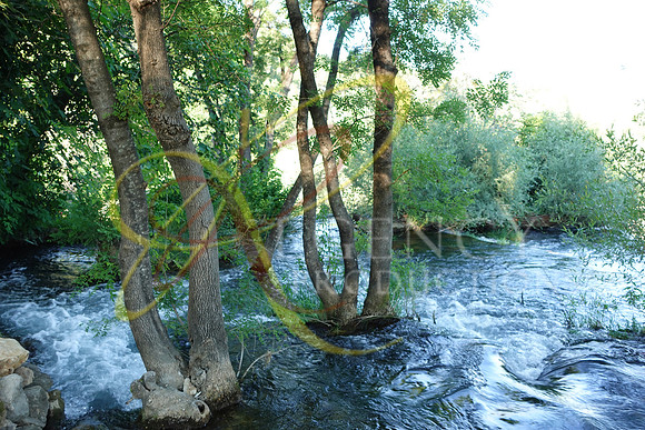 DSC00346