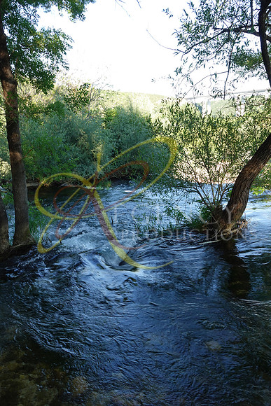 DSC00345