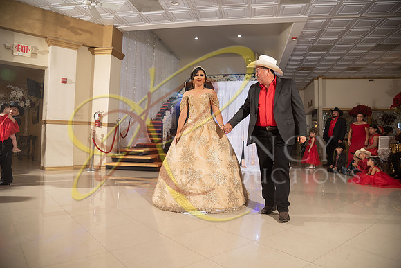 ANGELINA-200