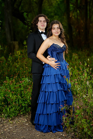 PROM-133