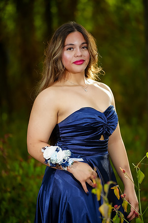 PROM-33