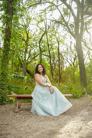 PROM-3