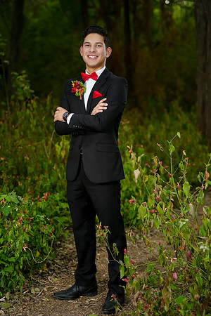 PROM-87
