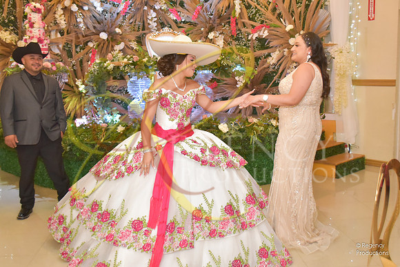 REG_4124