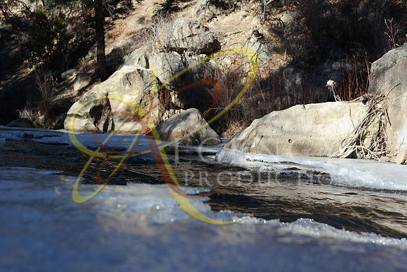New Mexico05