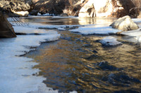 New Mexico06