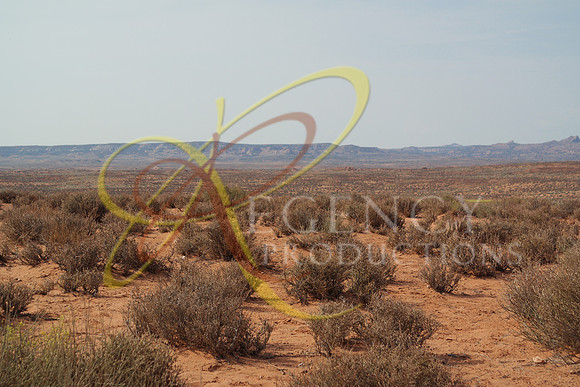 VEGAS32 (1)