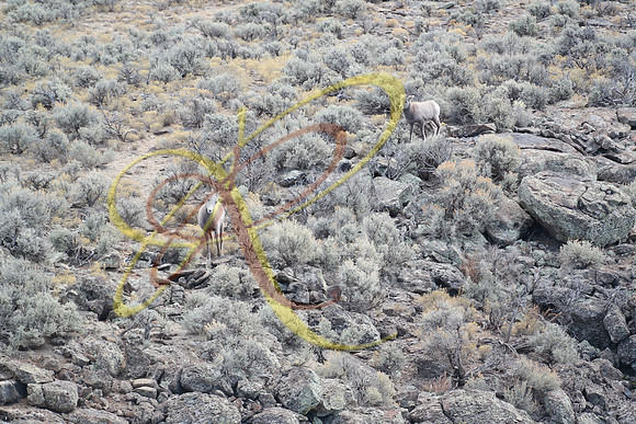 New Mexico170