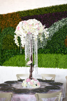 11/18 Royal Garden Opening