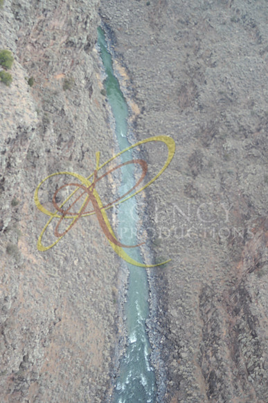 New Mexico151
