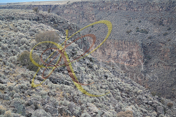 New Mexico184