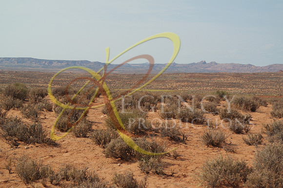 VEGAS34 (1)