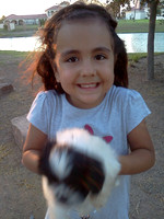 IMG_20120812_195525
