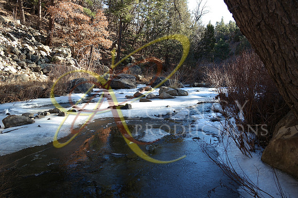 New Mexico18