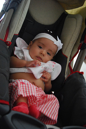 DSC_0071