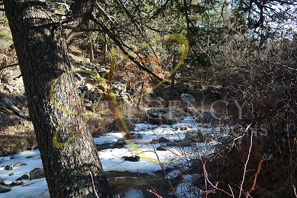 SAM_0021
