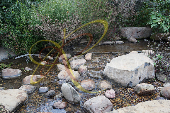 SAM_0036