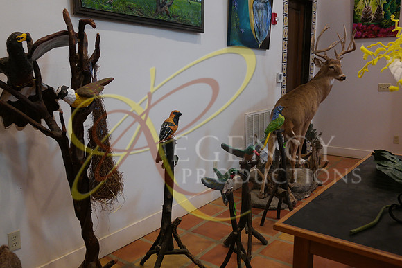 SAM_0053