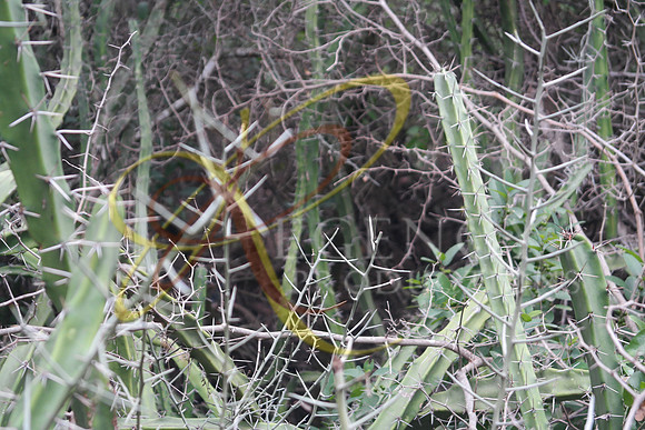 SAM_0150