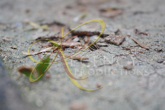SAM_0174