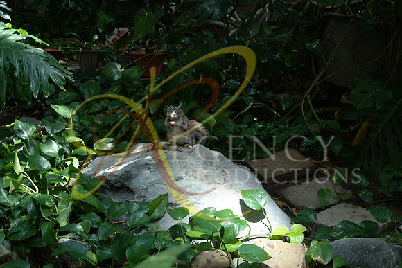SAM_0054