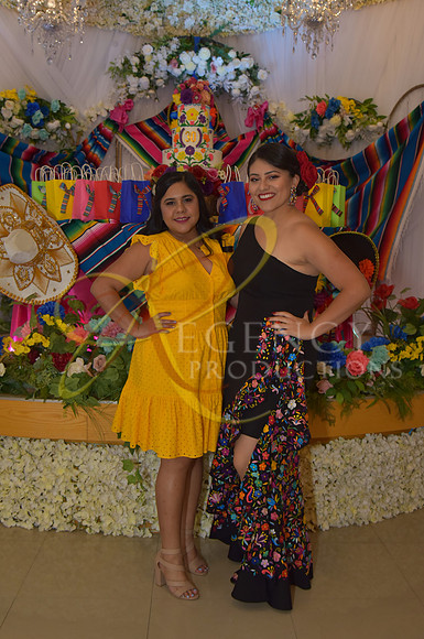 REG_2329