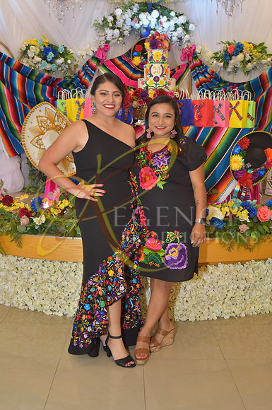 REG_2481