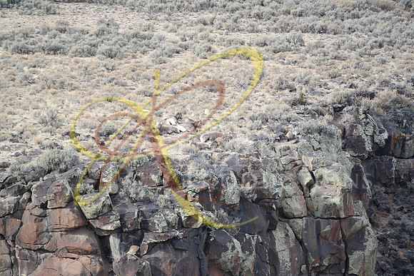 New Mexico156