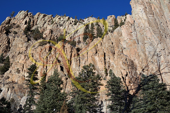 New Mexico41