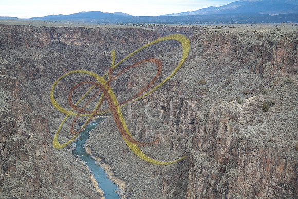 New Mexico161