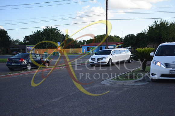 DSC_6207
