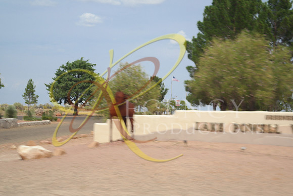 SAM_0295