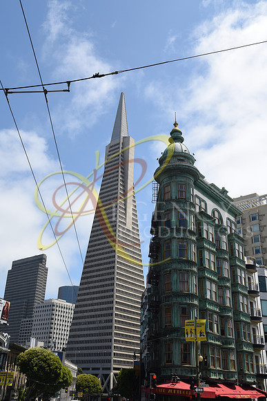 DSC_1394