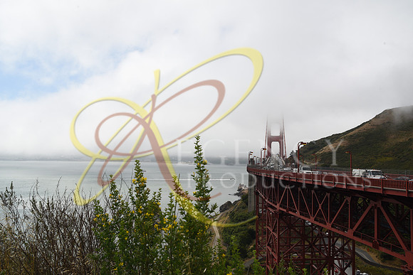 DSC_1496
