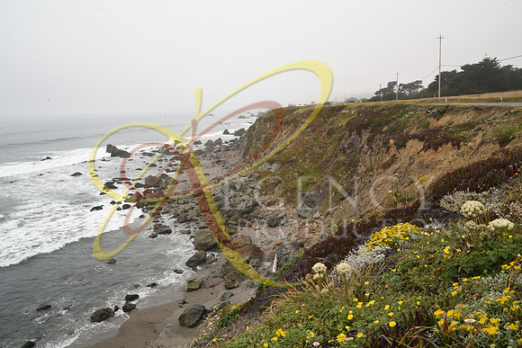 DSC_1523