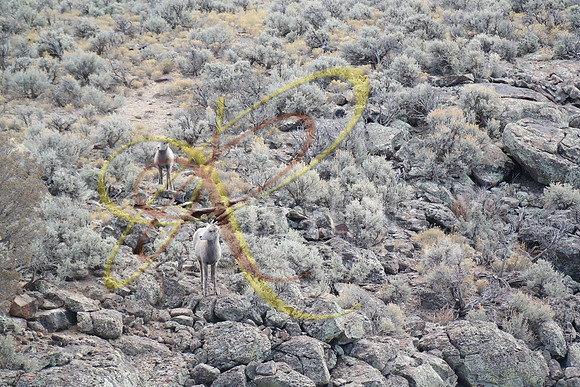 New Mexico171