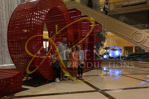 VEGAS14