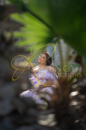 quinceanera-131