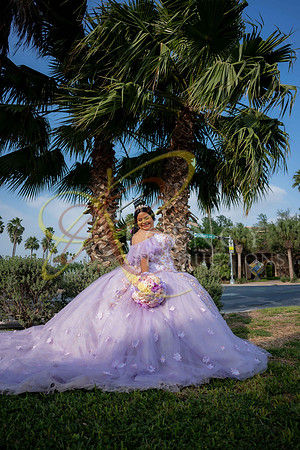 quinceanera-163