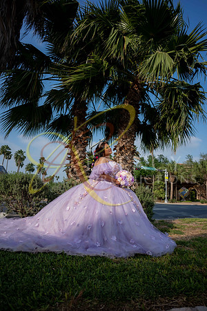 quinceanera-170