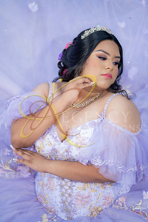 quinceanera-223