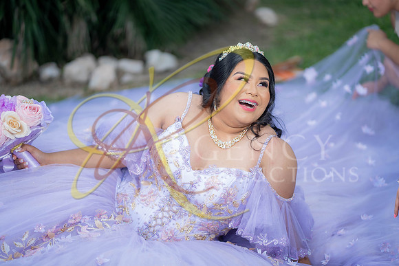 quinceanera-236