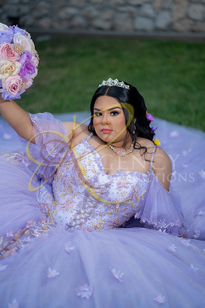 quinceanera-248