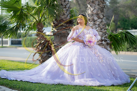 quinceanera-142