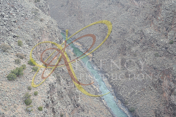 New Mexico152