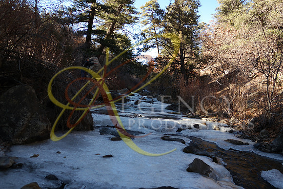 New Mexico26