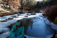 New Mexico20