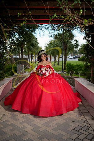 ARELIE-1