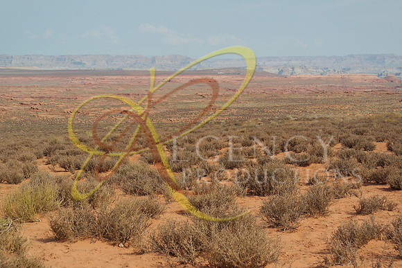 VEGAS33 (1)