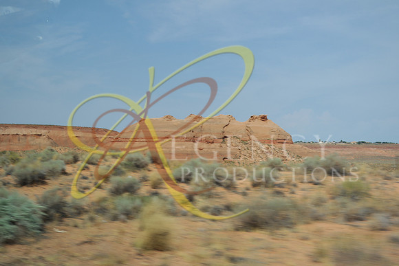 VEGAS42 (1)